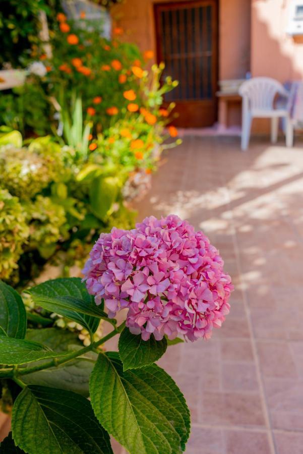 Valsamis Villa Apartments Poros  Extérieur photo